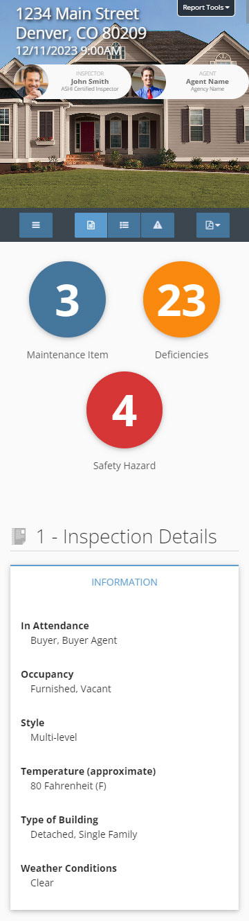 Sample Report image